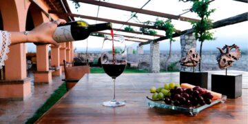 Esta es la ruta del vino en Saltillo