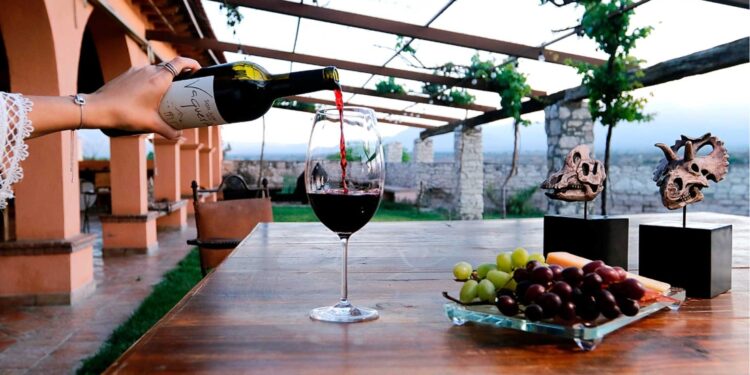 Esta es la ruta del vino en Saltillo