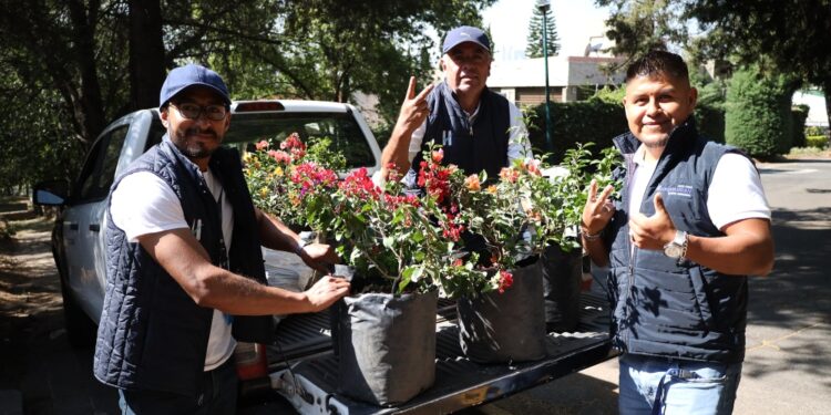 Reforesta Huixquilucan áreas urbanas