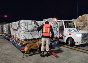 México recibe 592 mil dosis de la vacuna Sputnik V para Campaña de Vacunación