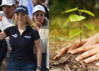 Promete Romina Contreras reforestar Huixquilucan y cuidar áreas verdes