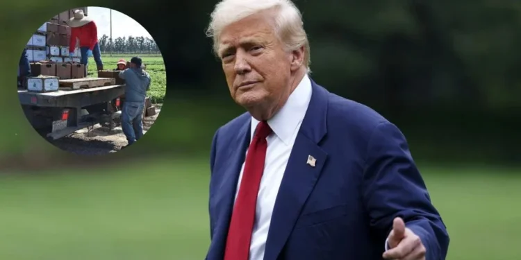 Trump admite que migrantes son esenciales en sectores clave