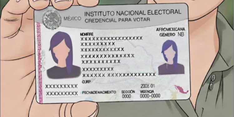 INE permitirá incluir identidad de género y autoidentificación indígena en la credencial para votar