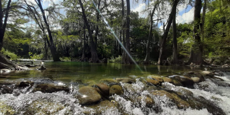 Río Ramos, el paraíso natural de Nuevo León que cautiva a visitantes en Allende