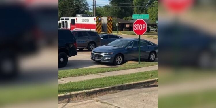 Un ataque trágico en Luisiana cobró la vida de ocho niños, destacando la grave problemática de la violencia doméstica.