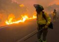 Un incendio devastador en Los Gallardos, Almería, deja 12 víctimas fatales y varios desaparecidos en medio del caos.
