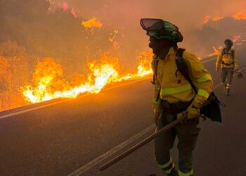 Un incendio devastador en Los Gallardos, Almería, deja 12 víctimas fatales y varios desaparecidos en medio del caos.