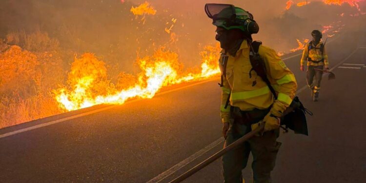 Un incendio devastador en Los Gallardos, Almería, deja 12 víctimas fatales y varios desaparecidos en medio del caos.