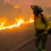 Un incendio devastador en Los Gallardos, Almería, deja 12 víctimas fatales y varios desaparecidos en medio del caos.